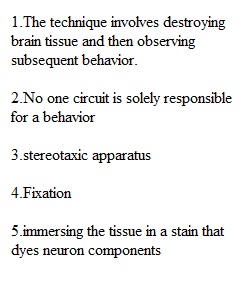 Quiz 6